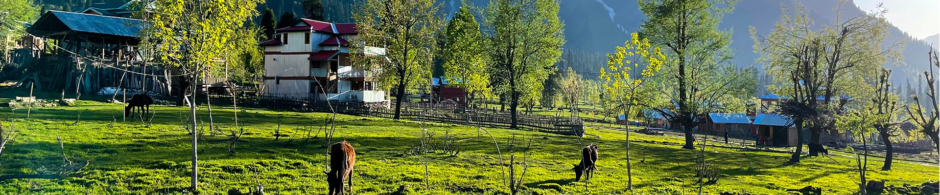 Kashmir Blissful Retreat